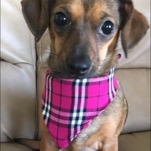 Tartan Neckerchief from Scotland